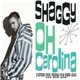 Shaggy - Oh Carolina